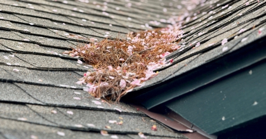 Debris on roof