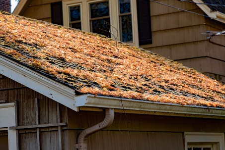 Top 5 Signs Your Roof Needs Repairs: Don't Ignore These in Tulsa
