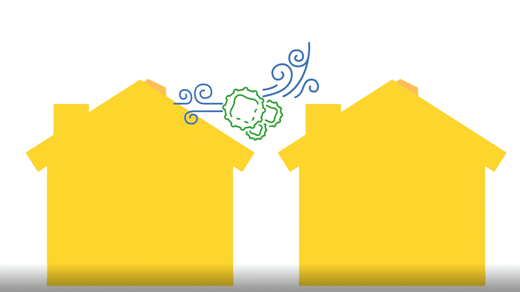 animation of algae being passed from one roof to another